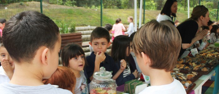 IMG_2737 copy
