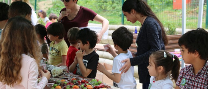 IMG_2954 copy