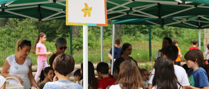 IMG_2968 copy
